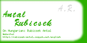 antal rubicsek business card